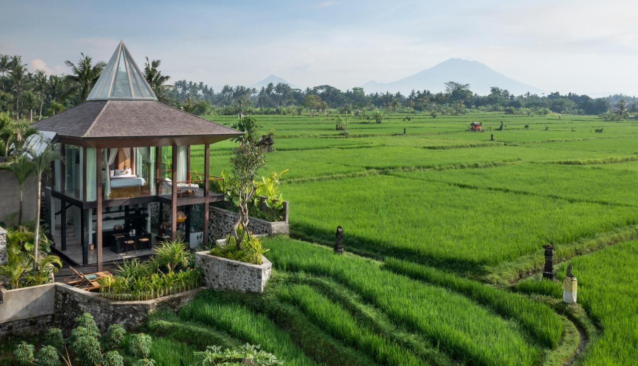 אובוד Gdas Bali Health And Wellness Resort - Adult Only מראה חיצוני תמונה