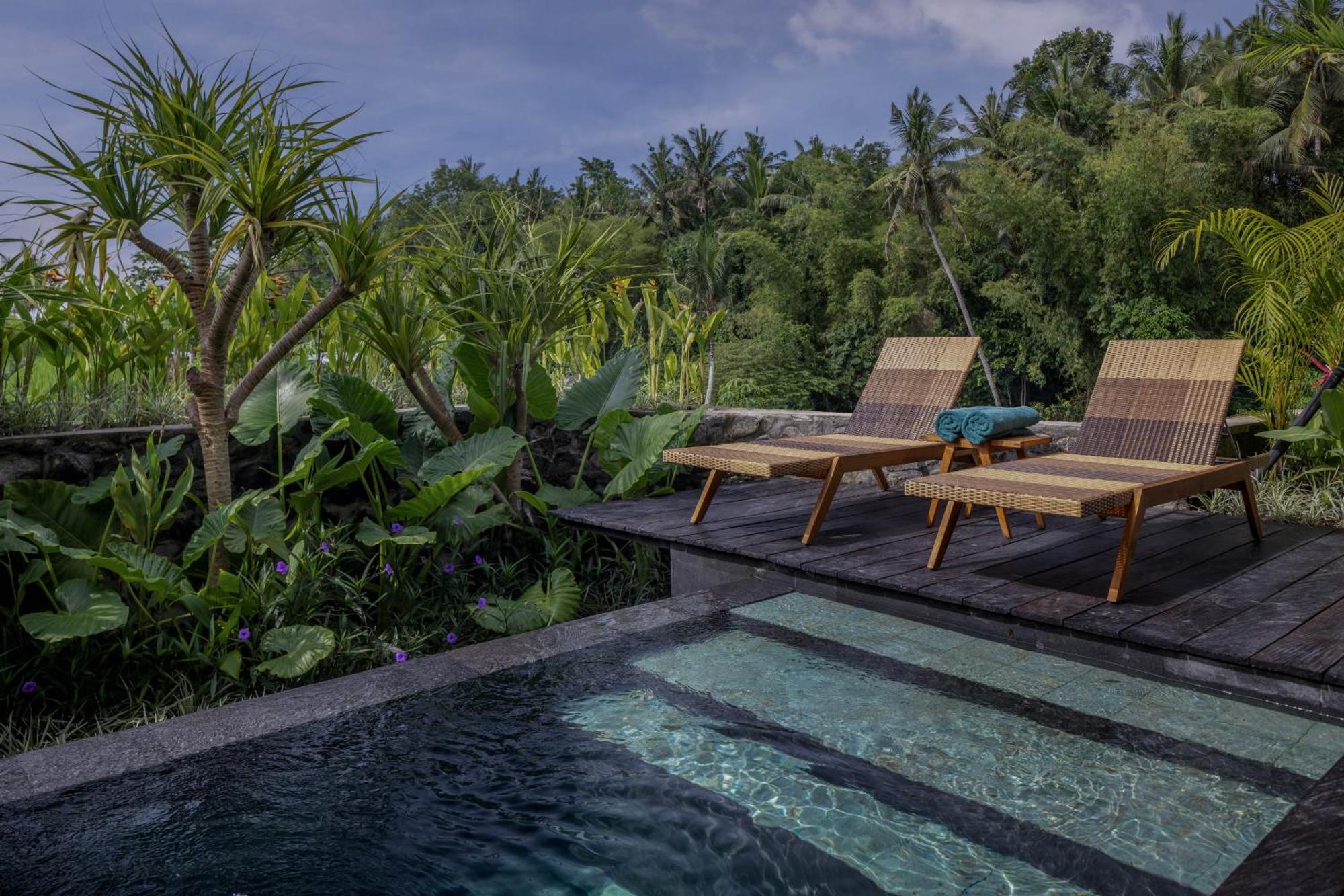 אובוד Gdas Bali Health And Wellness Resort - Adult Only מראה חיצוני תמונה