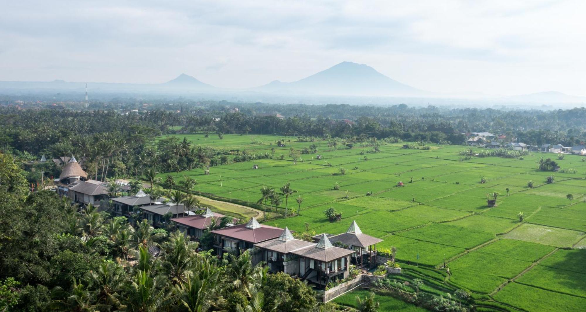 אובוד Gdas Bali Health And Wellness Resort - Adult Only מראה חיצוני תמונה